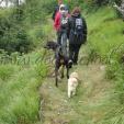 Mit Hunden Wandern Mit Hunden Wandern
