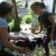 Kind und Hund Passau Kind und Hund Passau