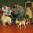 Hundeschule Doggyschool mehr als nur Hundeschule Hundeschule Doggyschool mehr als nur Hundeschule