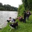 Hundeschule Passau - Hundetrainer Schärding Hundeschule Passau - Hundetrainer Schärding