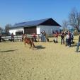 Hundeschule - Auswärtstraining Hundeschule - Auswärtstraining