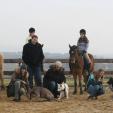 Hundeschule in Passau - Ausflug auf den Pferdehof Hundeschule in Passau - Ausflug auf den Pferdehof